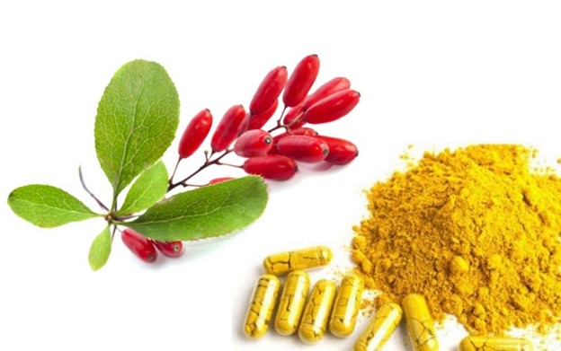 Berberine plant and capsules