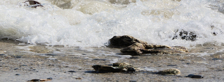 water flowing over rocks