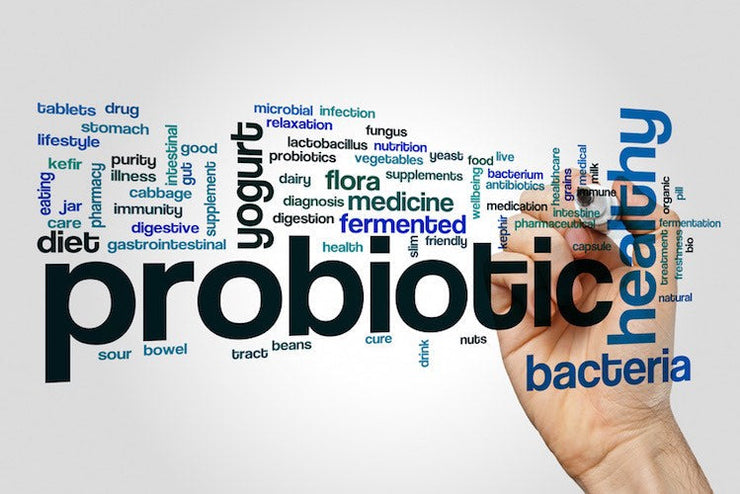 gut health word cloud