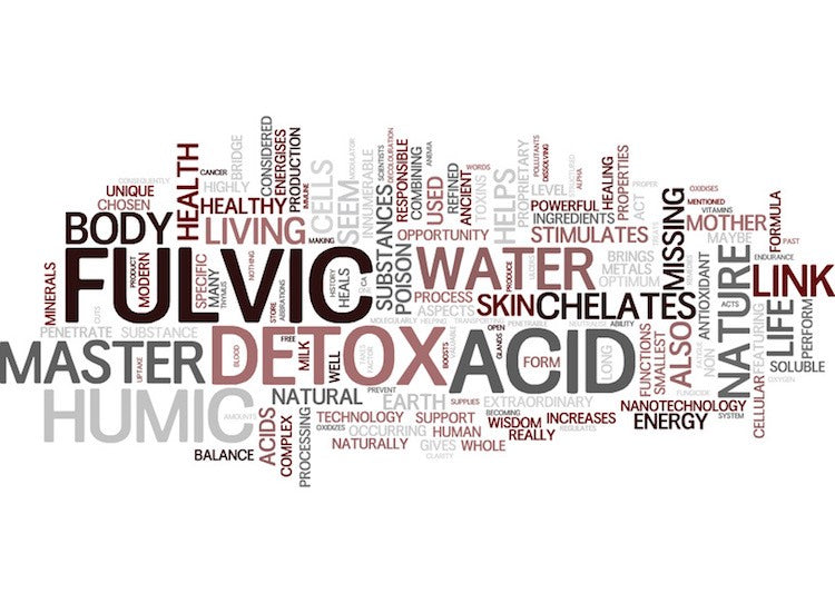 Graphic showing words associated with Fulvic Acid