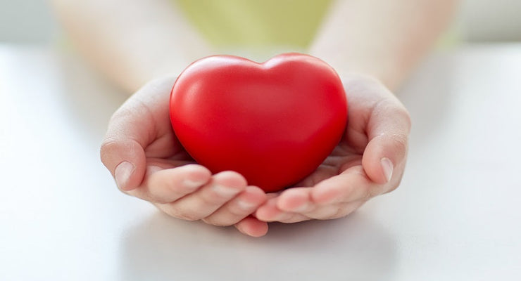 Hands holding a red heart