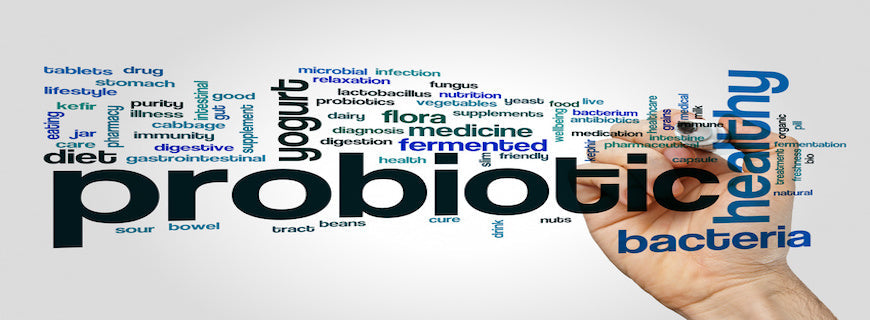 Probiotic word cloud on grey background