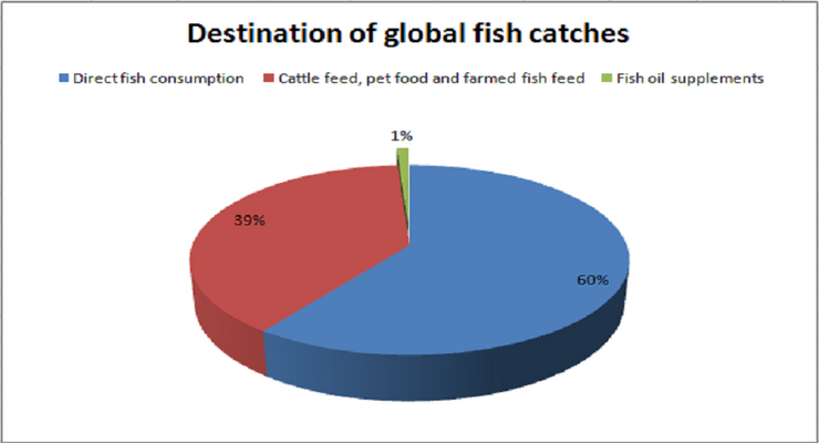 Fish oil supplements not a threat to fish stocks