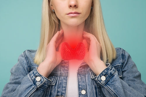 Understanding the Thyroid-Iodine Connection